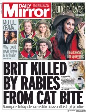 Daily Mirror (UK) Newspaper Front Page for 13 November 2018