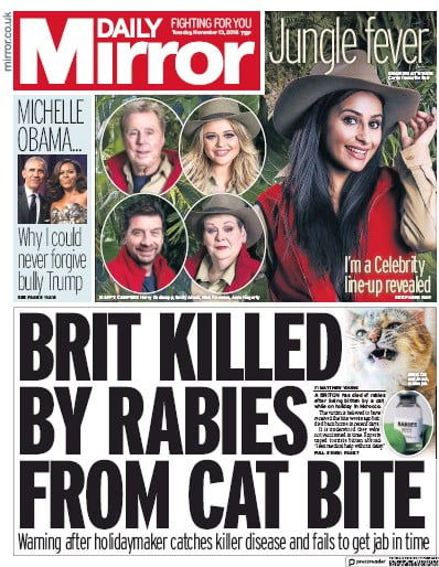 Daily Mirror Newspaper Front Page (UK) for 13 November 2018