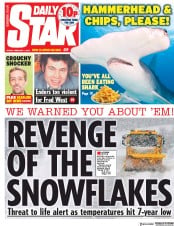 Daily Star (UK) Newspaper Front Page for 1 February 2019