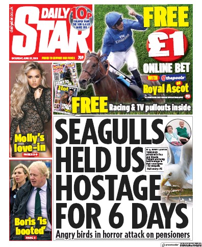 Daily Star Newspaper Front Page (UK) for 22 June 2019