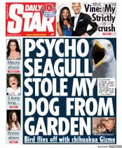 Daily Star (UK) Newspaper Front Page for 22 July 2019