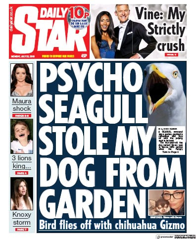 Daily Star Newspaper Front Page (UK) for 22 July 2019